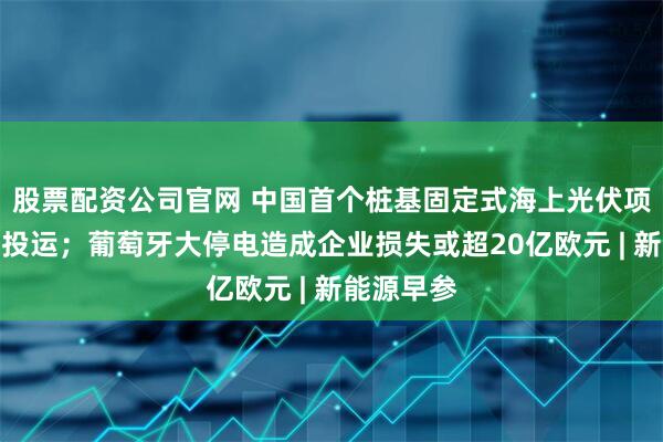 股票配资公司官网 中国首个桩基固定式海上光伏项目全容量投运；葡萄牙大停电造成企业损失或超20亿欧元 | 新能源早参