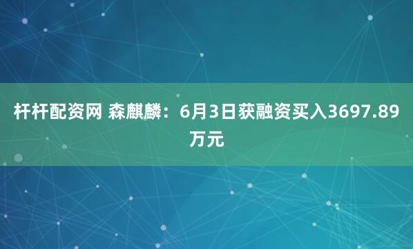 杆杆配资网 森麒麟：6月3日获融资买入3697.89万元