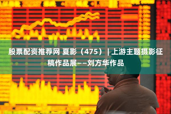 股票配资推荐网 夏影（475） | 上游主题摄影征稿作品展——刘方华作品